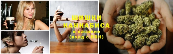 ГАЛЛЮЦИНОГЕННЫЕ ГРИБЫ Балахна
