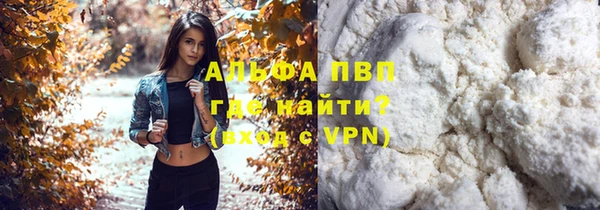 крисы Баксан