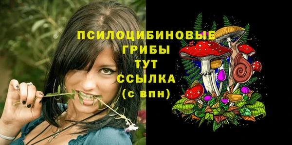крисы Баксан