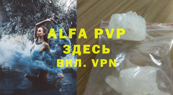 крисы Баксан