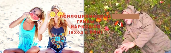 ГАЛЛЮЦИНОГЕННЫЕ ГРИБЫ Балахна