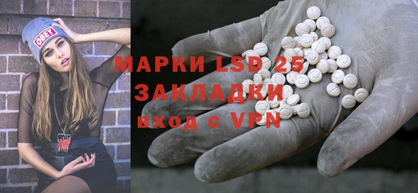 ГАЛЛЮЦИНОГЕННЫЕ ГРИБЫ Балахна