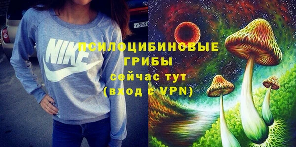 ешки Горняк